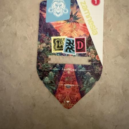 LSD 2x2 (budget tent)