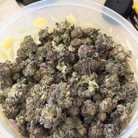 Alien OG