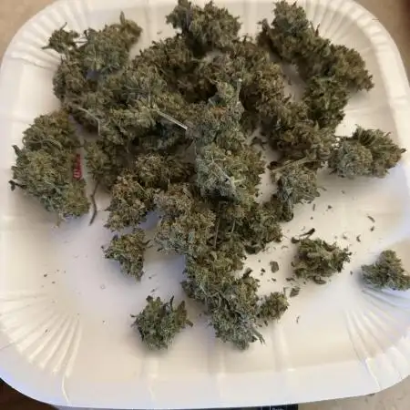 May the Kush and cookies be with you!