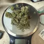 Northern light 3 gallon