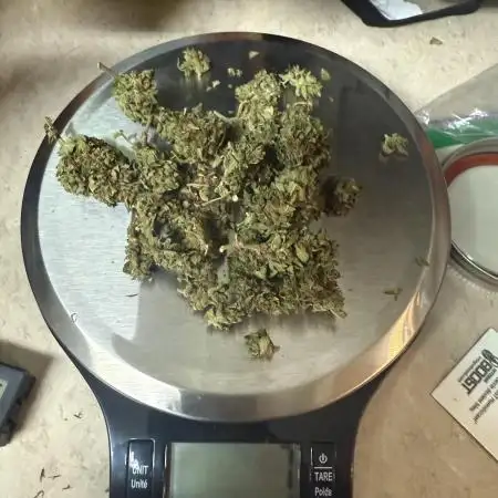 Northern light 3 gallon