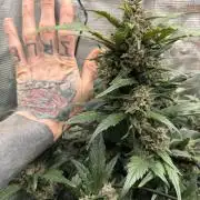 You're the berry best!