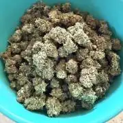 Why did the aurora get a bad review?