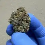 May the Kush and cookies be with you!