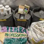 42FastBuds-Guave-Auto