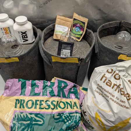 42FastBuds-Guave-Auto