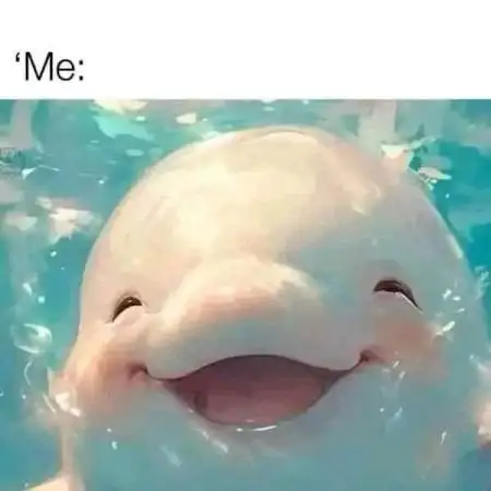 dank memes