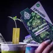 ZAMNESIA - Sticky Broccoli - EGC 2026 Y