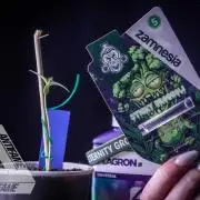 ZAMNESIA - Sticky Broccoli - EGC 2026 B
