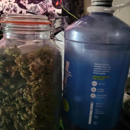 Micro grow can it yeild? #2