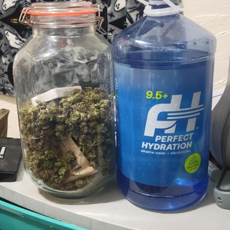 Micro Grow can it yeild?