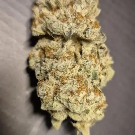 3. Indoor grow