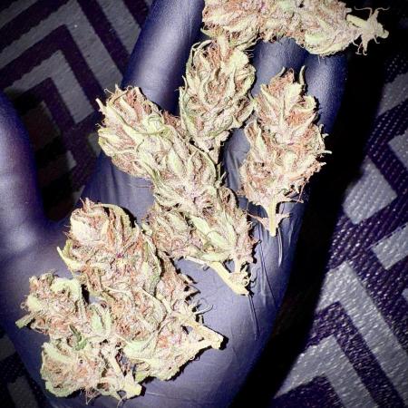 Trippy 2nd DWC Experience (FB LSD-25)