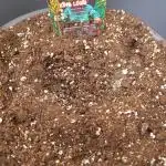 Growfriends25
