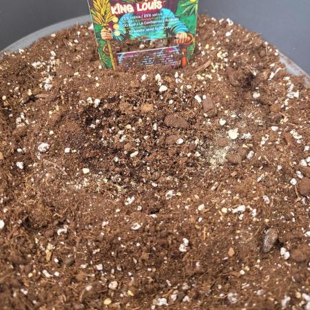 Growfriends25