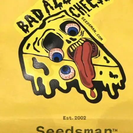 Badazz OG - Dibbers