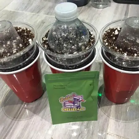 Dibbers 3x Bubba Cheesecake