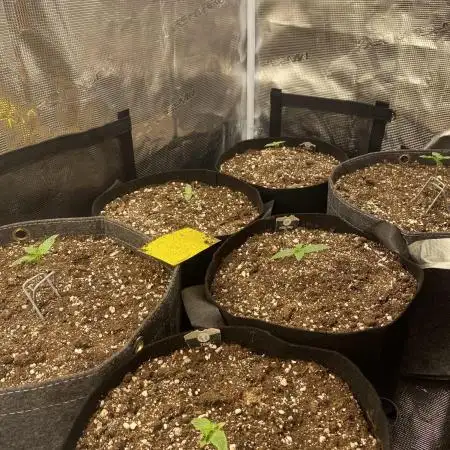 Indoor 120x60