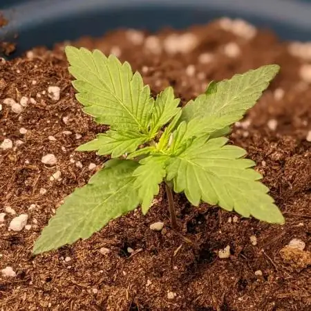 First Time Indoor