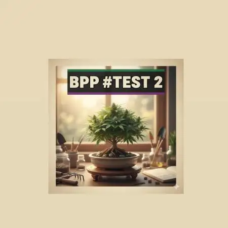BPP #test 2️⃣