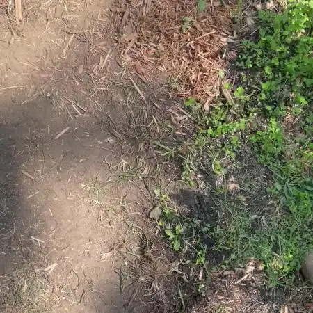 Ohio outdoor patch