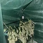 Ohio outdoor patch