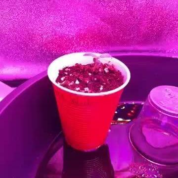 First Grows (2 by Accident)