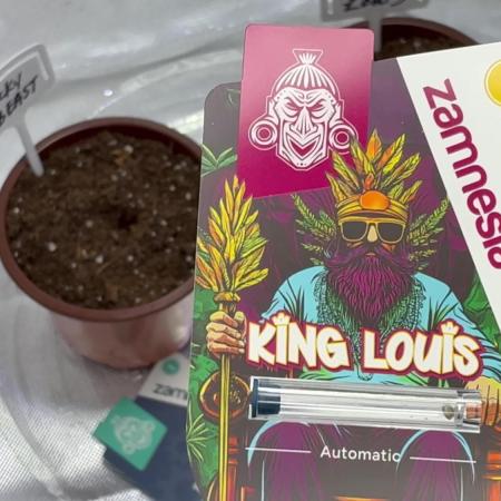 King Louis Auto (Season 3)