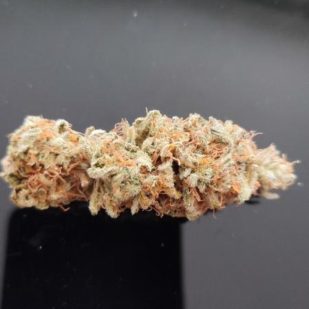 Orange Bud 2.0 Dutch Passion