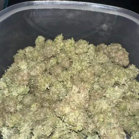 Amnesia crackers critical Weeding cake