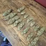 First grow