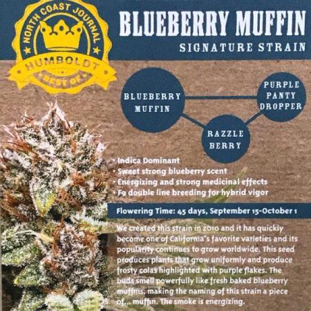 Blueberry Muffins