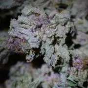 HUCKLEBERRY SODA 5 X PINEAPPLE EXPRESS 4