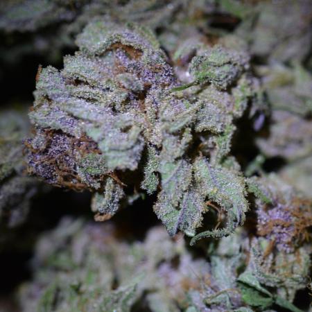 HUCKLEBERRY SODA 5 X PINEAPPLE EXPRESS 4