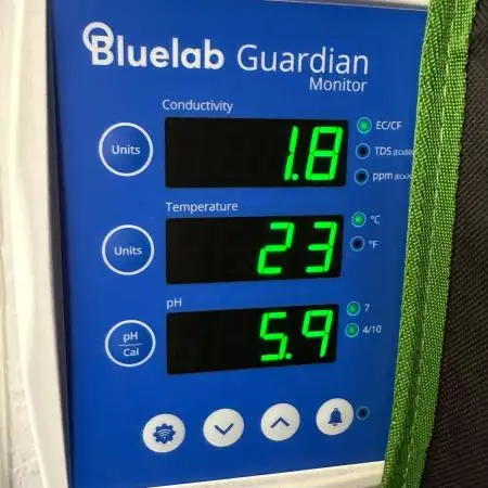 Better RWDC results with Bluelab?
