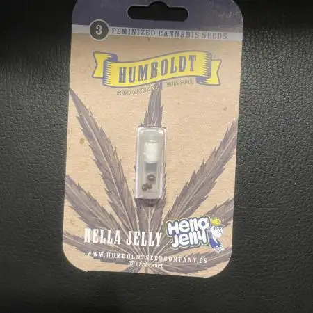 Hella3Jelly