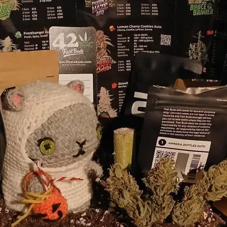 Auto Journey with FastBuds and Barney's