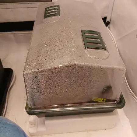 DWC Grow with Advanced Seeds