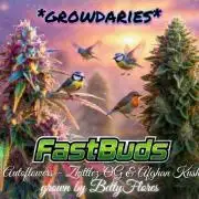 Auto Journey with FastBuds and Barney's