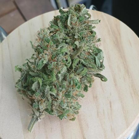 RQS Royal Jack Auto Outdoor