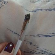 Super Sativa Seed Club Soil Version