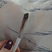 Super Sativa Seed Club Soil Version