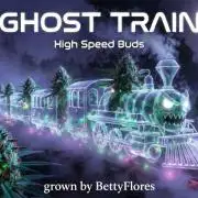 Ghost Train Indoor Ride