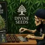 Divine Seeds - Auto Fractal