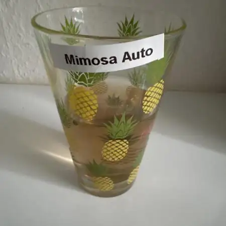 Mimosa Auto