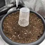 Banana Purple Punch 👊🏻🍌