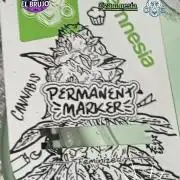 Dognabis cup #420 P & A