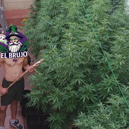 Fotodependientes Outdoor 2025