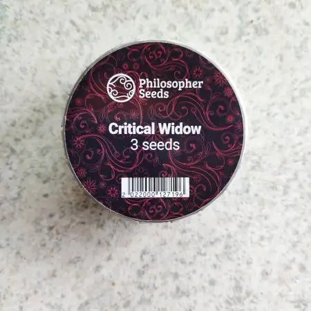 Critical Widow