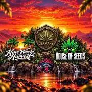CCG ☆ House of Seeds